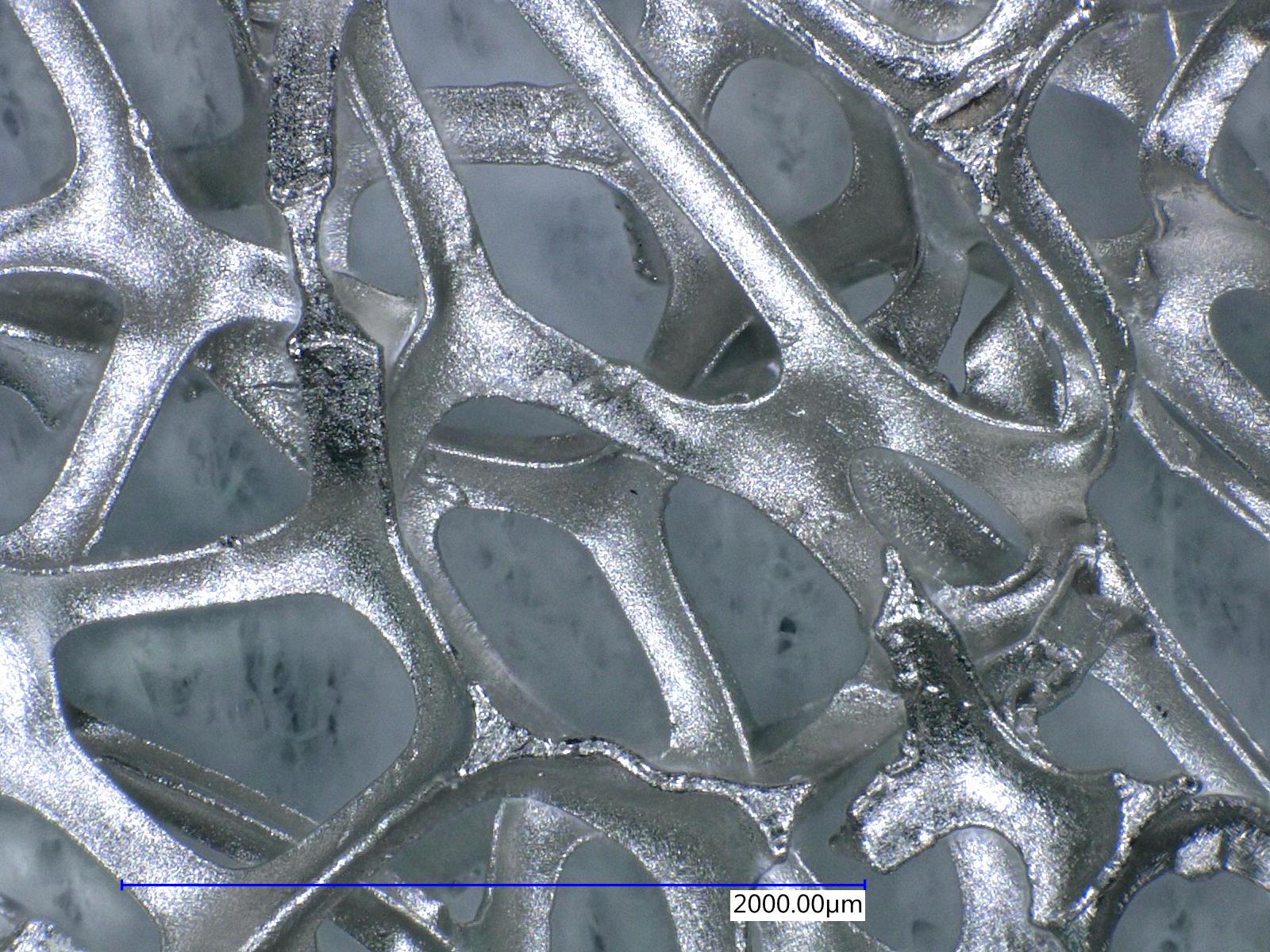 Nickel Foam Electrode II